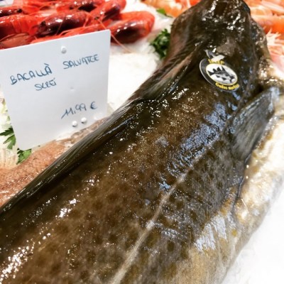 bacalao-skrei