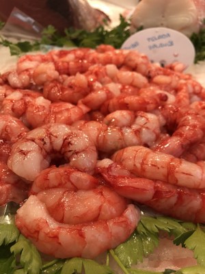 gamba-pelada-de-palamos